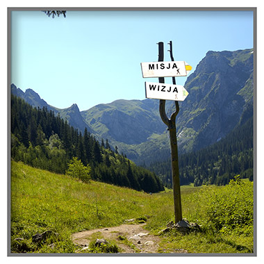 MISJA, WIZJA